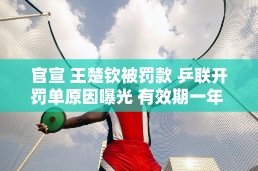 官宣 王楚钦被罚款 乒联开罚单原因曝光 有效期一年 王皓应该不会犯错