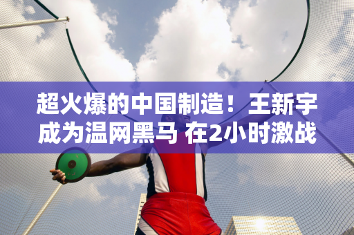 超火爆的中国制造！王新宇成为温网黑马 在2小时激战中击败世界排名第五的佩古拉